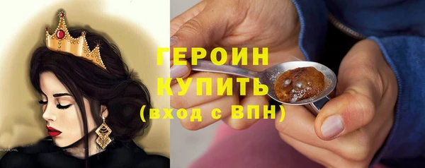 гашик Алексин