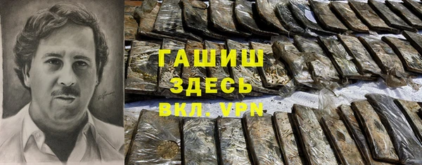 гашик Алексин