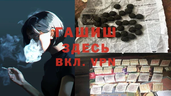 гашик Алексин