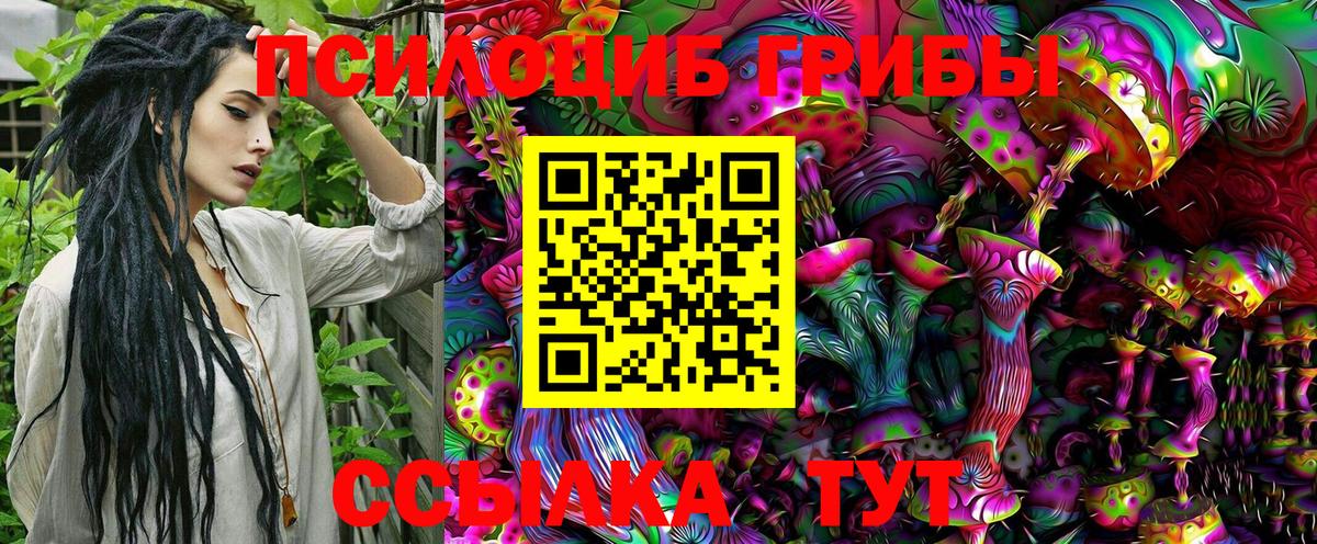 Псилоцибиновые грибы GOLDEN TEACHER  Галлюциногенные грибы Psilocybine cubensis  Вход с VPN  Березники 